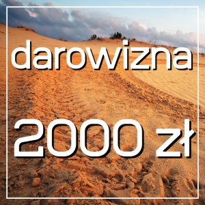 Darowizna na cele statutowe 2000