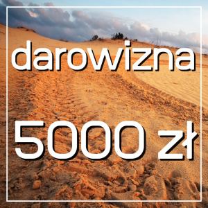 Darowizna na cele statutowe 5000
