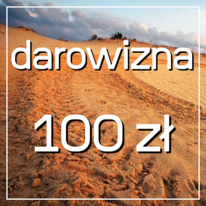 Darowizna na cele statutowe 100